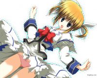 mahou_shoujo_lyrical_nanoha_-_lanyok_00114.jpg